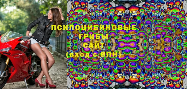 спиды Медногорск