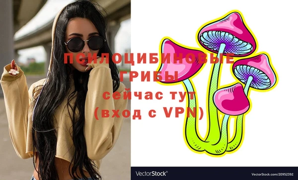 молекула духа Северо-Курильск
