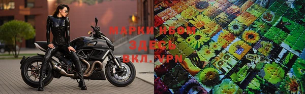 гашик Себеж