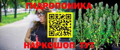 трава Кунгур