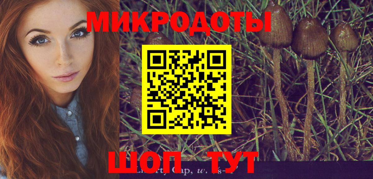 Галлюциногенные грибы GOLDEN TEACHER  Псилоцибиновые грибы мухоморы  Вход с VPN  Строитель 