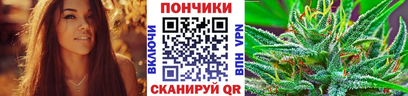 Бошки марихуана сатива  где купить наркоту  Строитель 